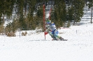 Tirol Cup Rennen - 19.03.2011